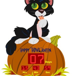 Countdown Cat